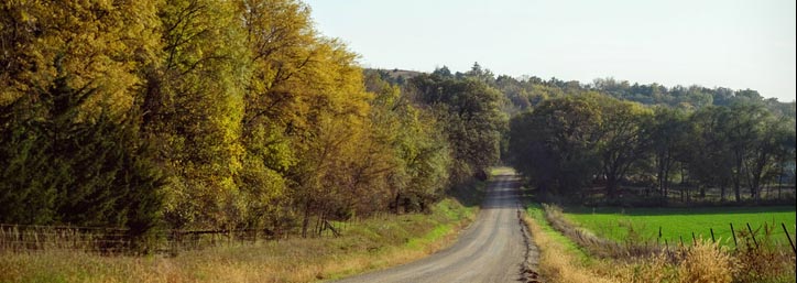 Empty Country Road Along Trees And Against Clear Sky